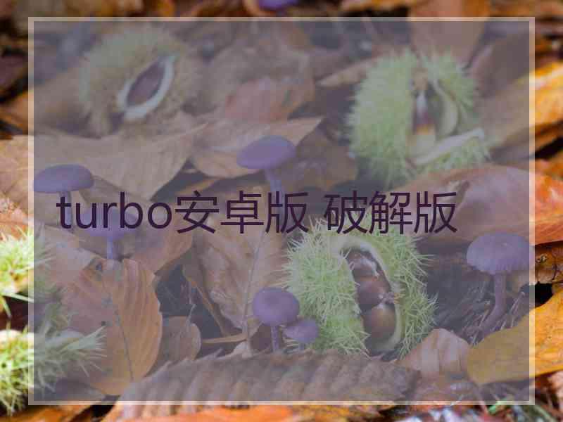 turbo安卓版 破解版