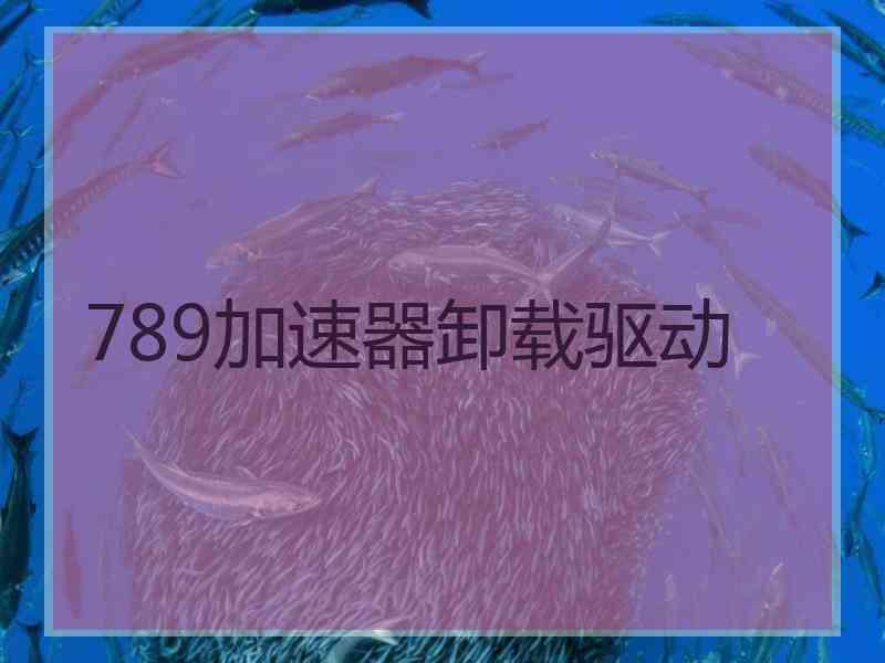 789加速器卸载驱动