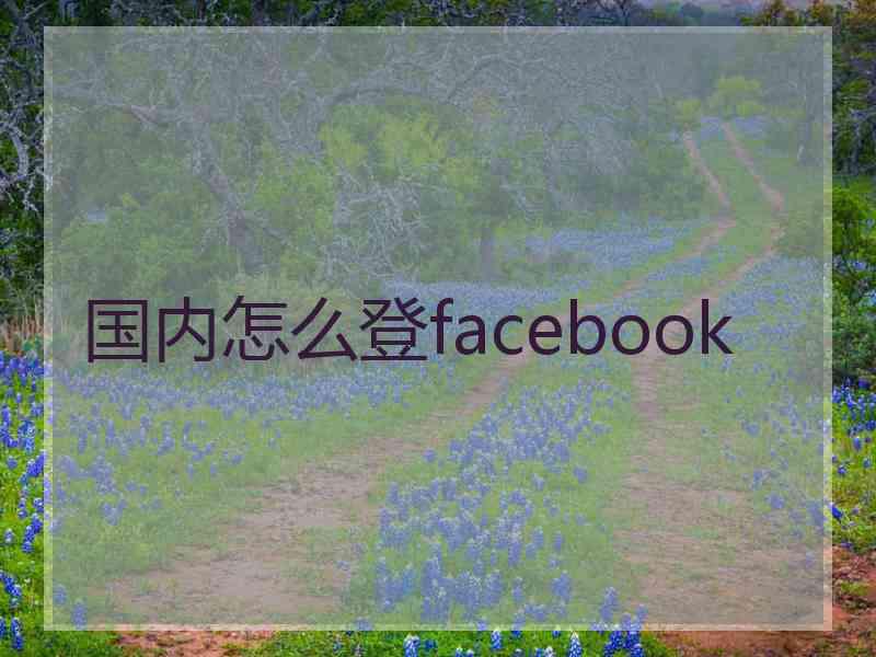 国内怎么登facebook