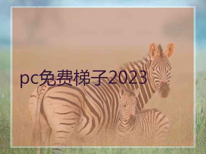 pc免费梯子2023