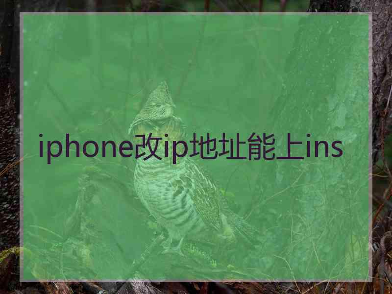 iphone改ip地址能上ins