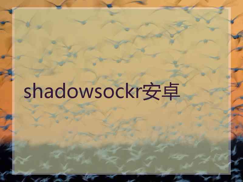 shadowsockr安卓