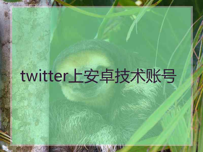 twitter上安卓技术账号