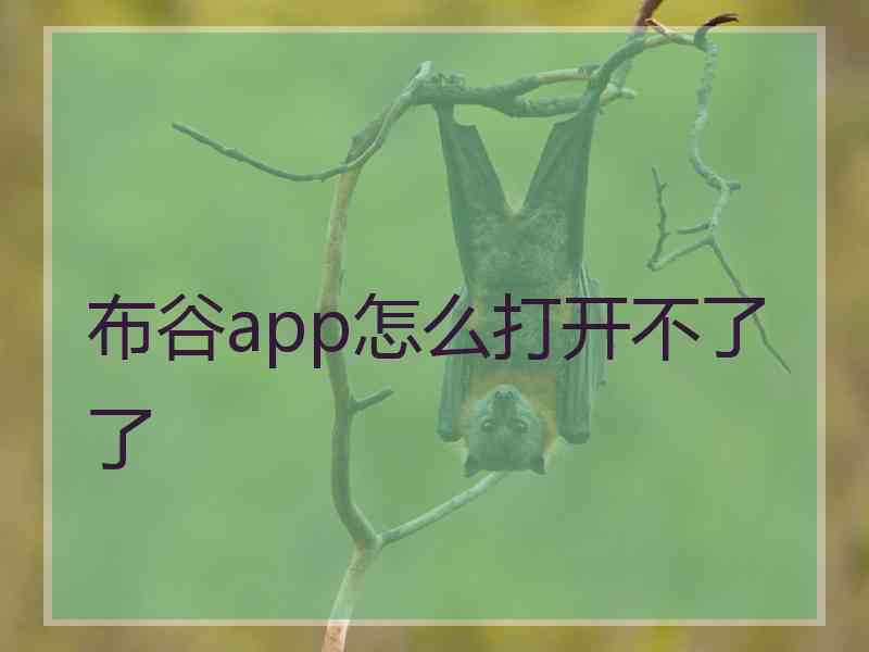 布谷app怎么打开不了了