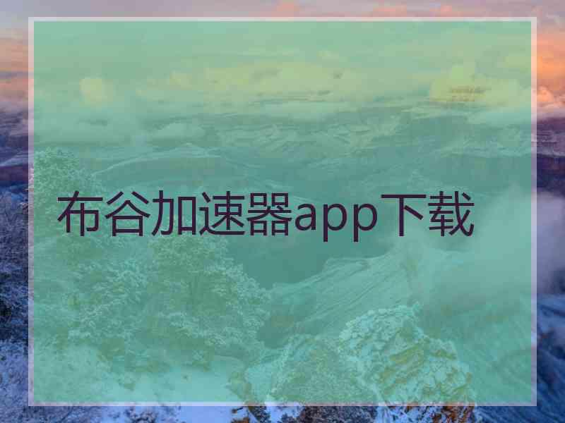 布谷加速器app下载