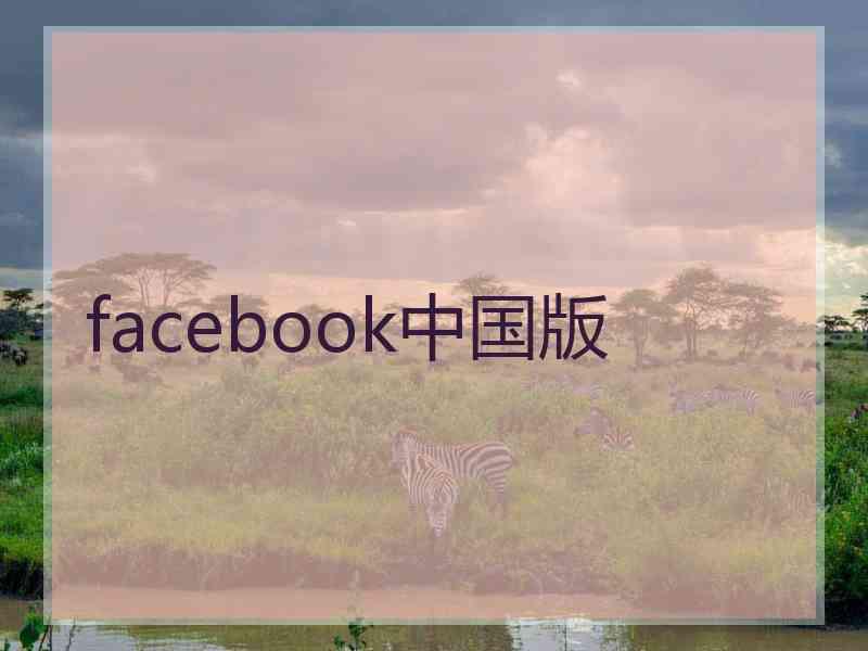 facebook中国版