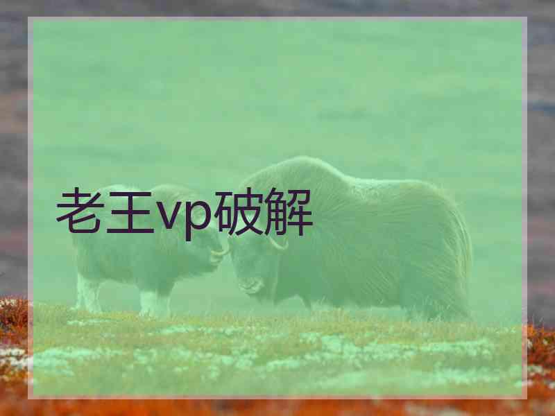 老王vp破解