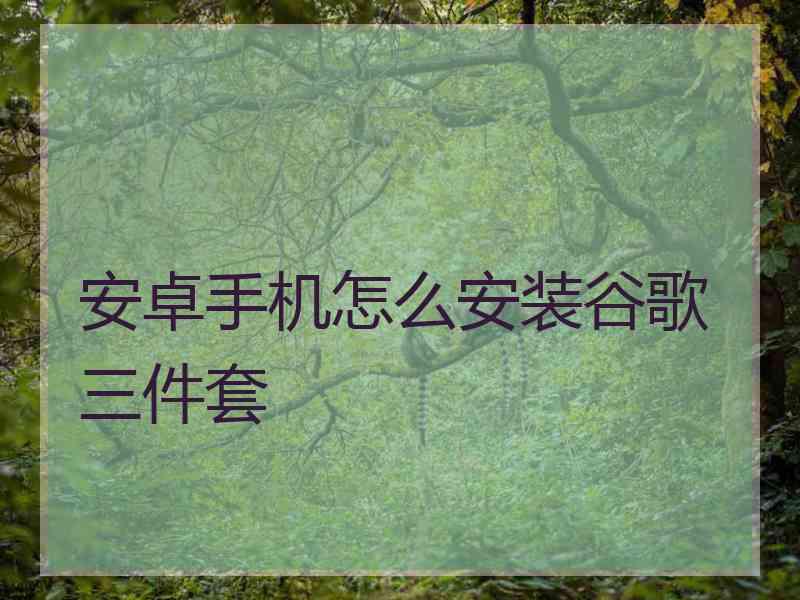 安卓手机怎么安装谷歌三件套