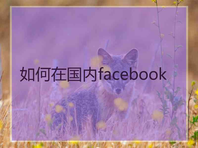 如何在国内facebook