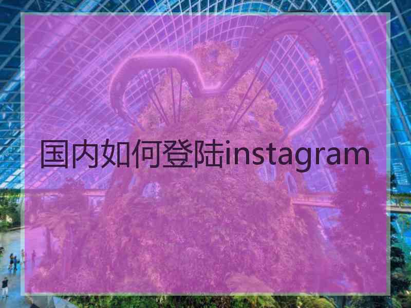 国内如何登陆instagram