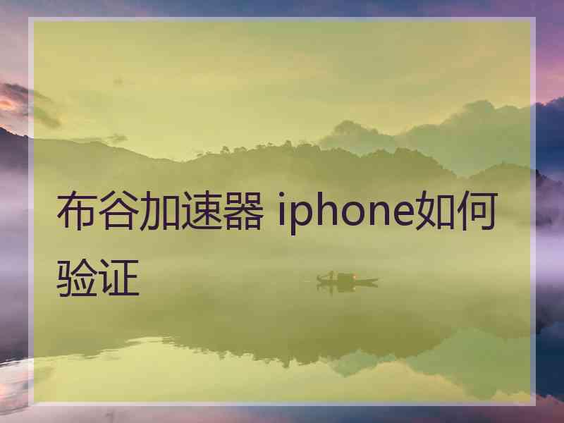 布谷加速器 iphone如何验证