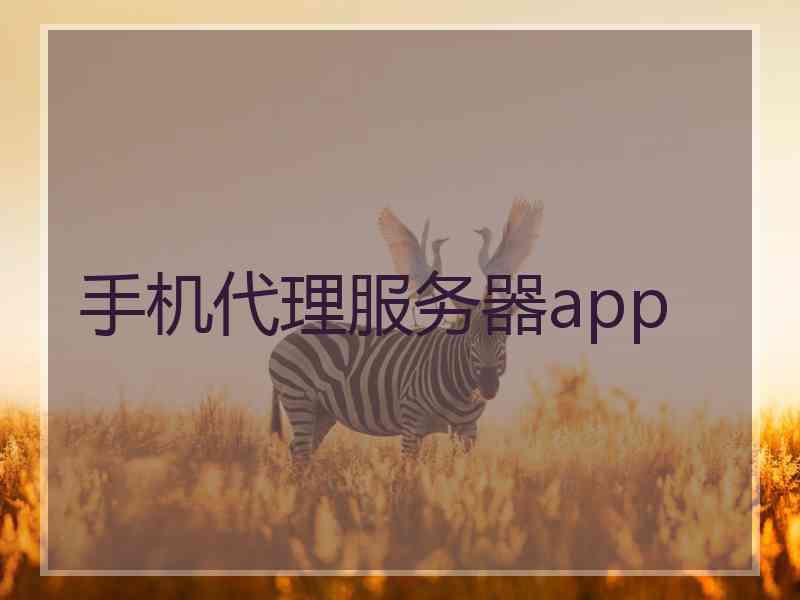 手机代理服务器app