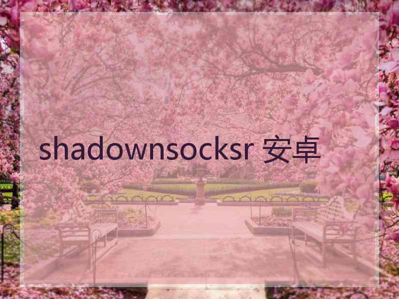 shadownsocksr 安卓