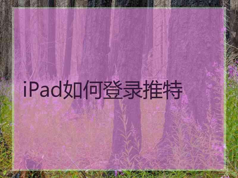 iPad如何登录推特