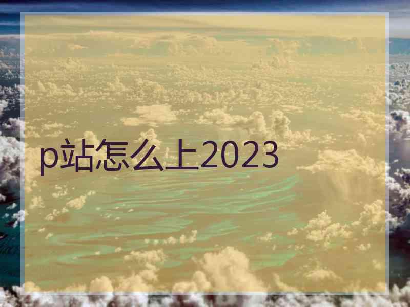 p站怎么上2023