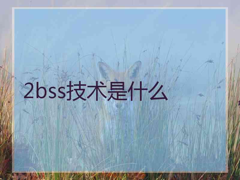 2bss技术是什么