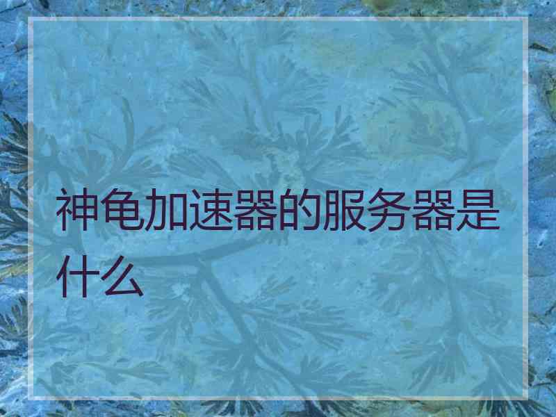 神龟加速器的服务器是什么