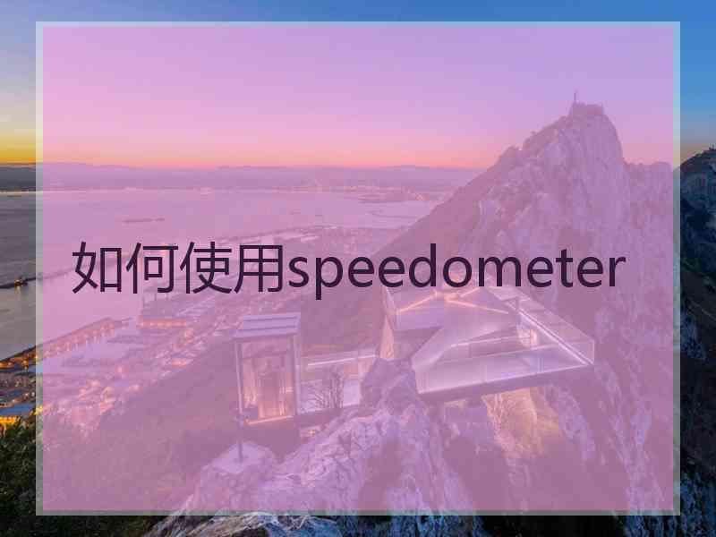 如何使用speedometer