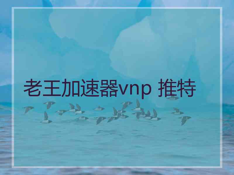 老王加速器vnp 推特