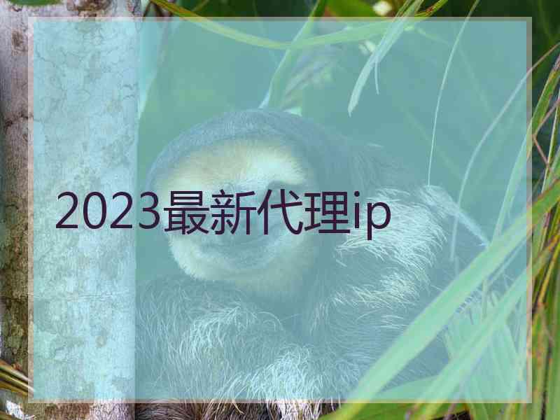 2023最新代理ip